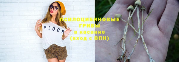 крисы Армянск