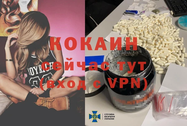 крисы Армянск
