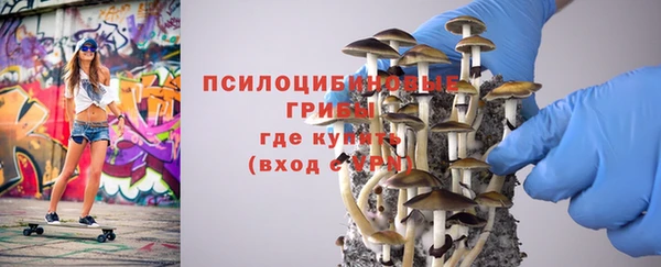 крисы Армянск
