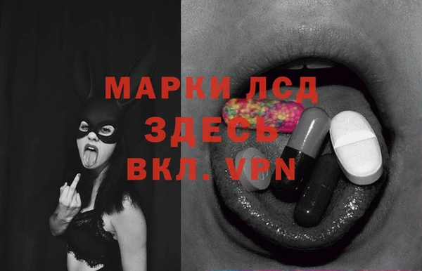 спайс Аркадак