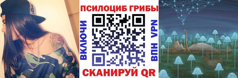 Галлюциногенные грибы прущие грибы  хочу наркоту  Магас 