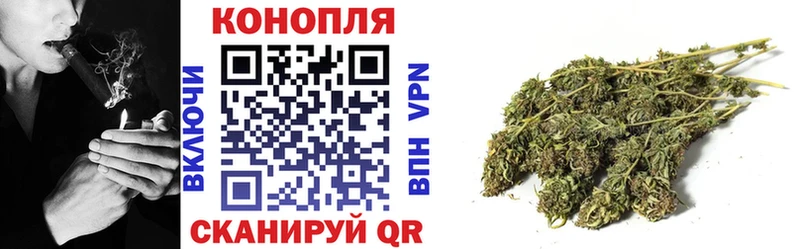 где можно купить Магас omg зеркало Бошки марихуана индика